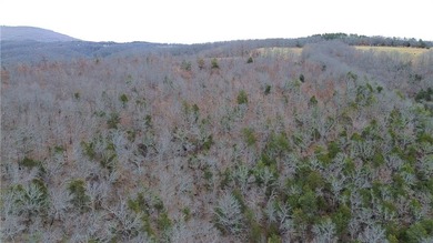 +/-60 acres with great views of the surrounding mountains in - photo 24