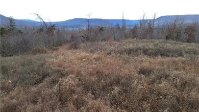 +/-60 acres with great views of the surrounding mountains in - photo 26