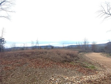 +/-60 acres with great views of the surrounding mountains in - photo 28