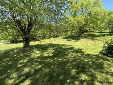 Nice 3 BR 1BH brick home with full size basement on 9.67 acres - photo 7