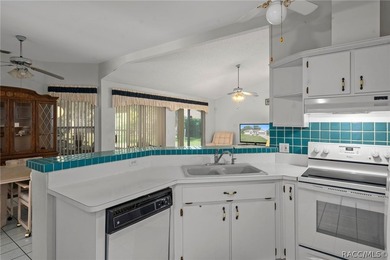 Welcome home to Persian Ave! No HOA and No flood zone! This - photo 20