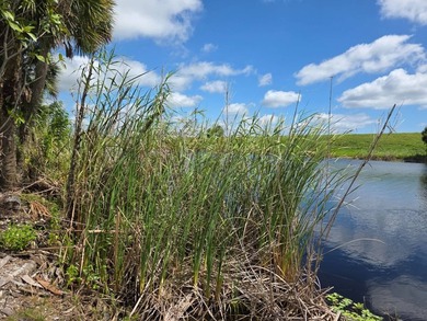 Lake Okeechobee Access - Close to locks, CBS home freshly - photo 31