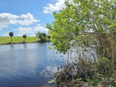 Lake Okeechobee Access - Close to locks, CBS home freshly - photo 32