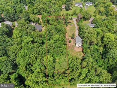 Nearly 1 acre of wooded land in the Morgan II community on the - photo 3