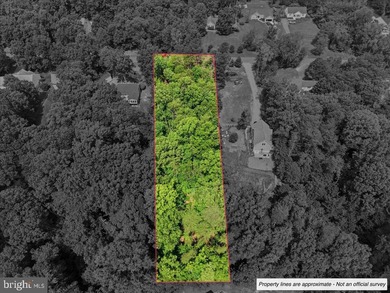 Nearly 1 acre of wooded land in the Morgan II community on the - photo 5