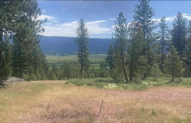(private lake, pond, creek) Lot Sale Pending in New Meadows Idaho