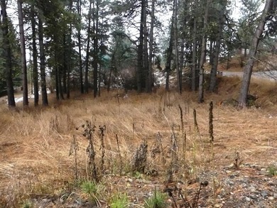 Lake Lot For Sale in Cascade, Idaho