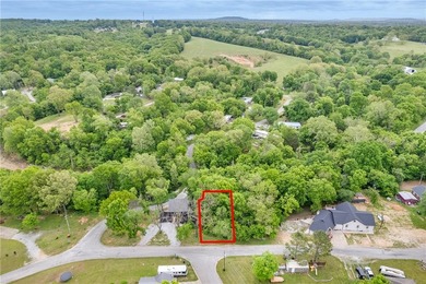 Beautifully positioned near Beaver Lake, this 0.26-acre lot - photo 6