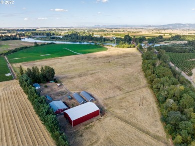 Willamette River - Benton County  Home For Sale in Junction City Oregon
