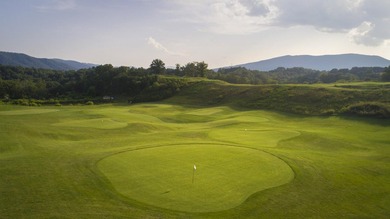 ''Come Home to Ballyhack'' where you will find spectacular homes - photo 38