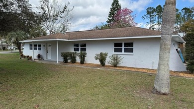 Lake Saxon Home Sale Pending in Land O Lakes Florida