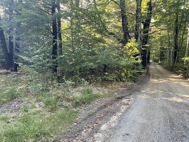 Lake Michigan - Oceana County Lot For Sale in Shelby Michigan