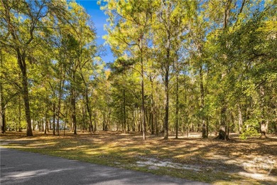 (private lake, pond, coastal) Acreage For Sale in Richmond Hill Georgia