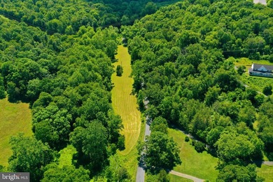 Introducing 12340 Kingsley Road, a magnificent 31.5-acre estate - photo 7