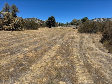 Ironwood Way - photo 11