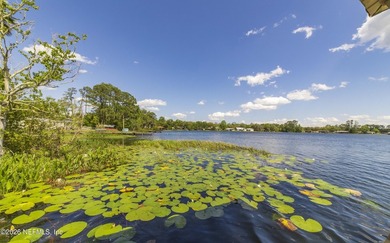 Violet Lake! Enjoy affordable waterfront living on one of North - photo 12
