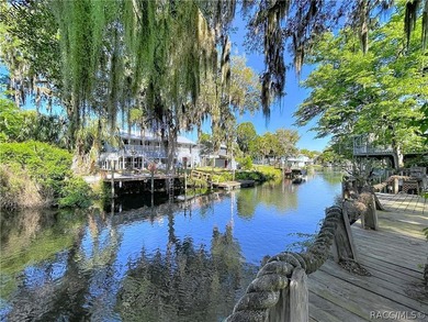 PRICE IMPROVEMENT TO $469,000 + 1-YEAR HOME WARRANTY INCLUDED - photo 14