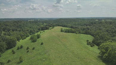 Lake Acreage For Sale in Ewing, Kentucky