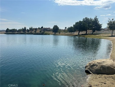 Ironwood Way - photo 26