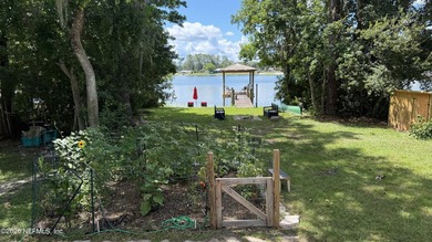 Violet Lake! Enjoy affordable waterfront living on one of North - photo 31