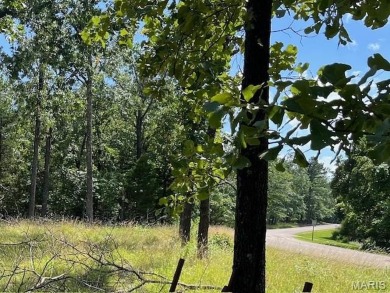 Lake Lot For Sale in Perryville, Missouri