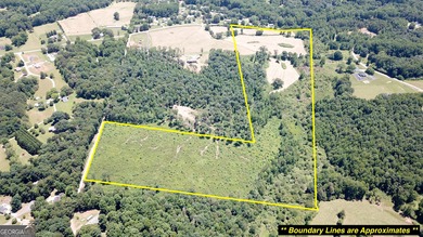 Lake Acreage Sale Pending in Mount Airy, Georgia