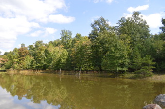 Freedom Lake  Lot For Sale in Dunlap Tennessee