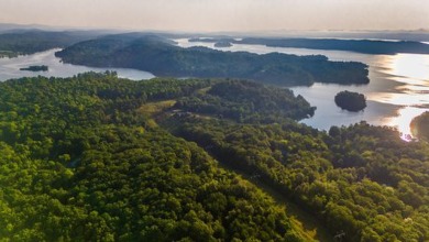 Watts Bar Lake Commercial For Sale in Spring City Tennessee