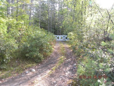 3.28 Lot in the lakes region of Shapleigh. This lot is wooded - photo 2