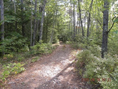 3.28 Lot in the lakes region of Shapleigh. This lot is wooded - photo 3