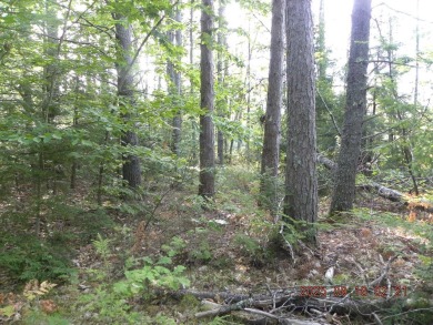 3.28 Lot in the lakes region of Shapleigh. This lot is wooded - photo 4