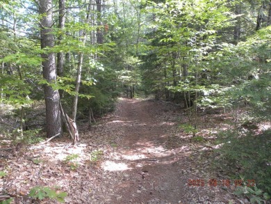 3.28 Lot in the lakes region of Shapleigh. This lot is wooded - photo 5