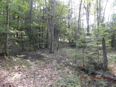 3.28 Lot in the lakes region of Shapleigh. This lot is wooded - photo 6
