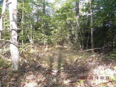3.28 Lot in the lakes region of Shapleigh. This lot is wooded - photo 7