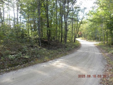 3.28 Lot in the lakes region of Shapleigh. This lot is wooded - photo 8