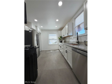 Welcome home to this stunning, fully renovated Euclid gem, where - photo 11