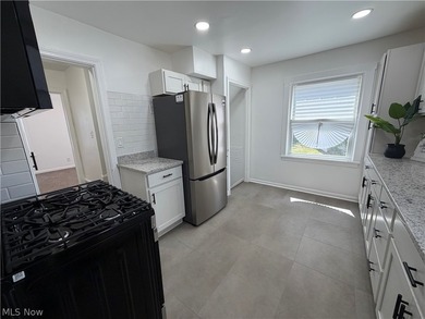 Welcome home to this stunning, fully renovated Euclid gem, where - photo 14