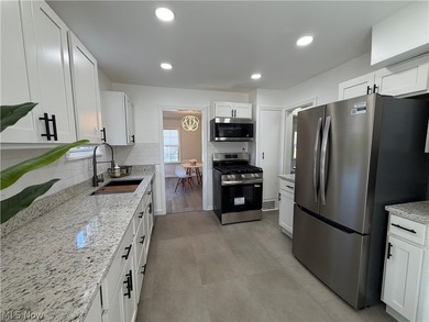 Welcome home to this stunning, fully renovated Euclid gem, where - photo 15