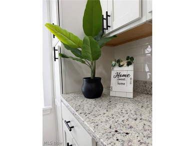Welcome home to this stunning, fully renovated Euclid gem, where - photo 18