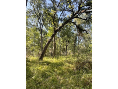 Lake Limestone Acreage For Sale in Groesbeck Texas