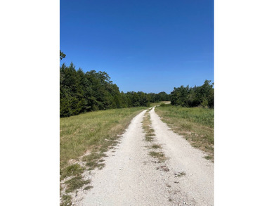 NOW SHOWING!!! Just the right size tract! Beautiful mature - photo 2