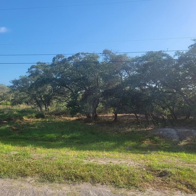 Oversized corner lot for your new home! 50 x 140 with beautiful - photo 1