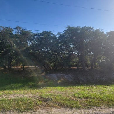 Oversized corner lot for your new home! 50 x 140 with beautiful - photo 2