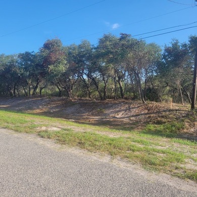 Oversized corner lot for your new home! 50 x 140 with beautiful - photo 3