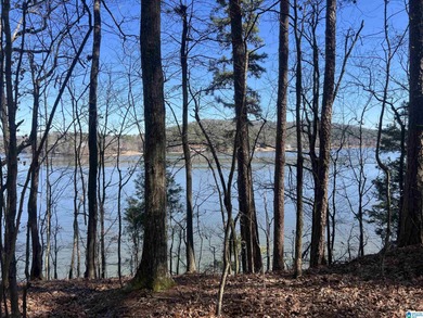 Logan Martin Lake Lot For Sale in Cropwell Alabama