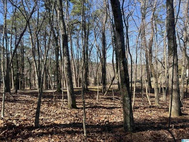 BEAUTIFUL LOT ON LOGAN MARTIN LAKE. THIS LOT HAS SO MUCH TO - photo 4