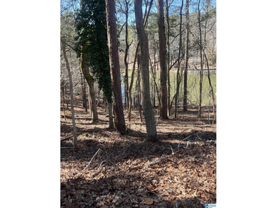 BEAUTIFUL LOT ON LOGAN MARTIN LAKE. THIS LOT HAS SO MUCH TO - photo 5