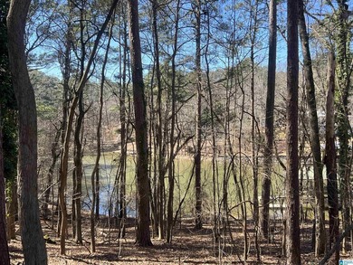 BEAUTIFUL LOT ON LOGAN MARTIN LAKE. THIS LOT HAS SO MUCH TO - photo 6