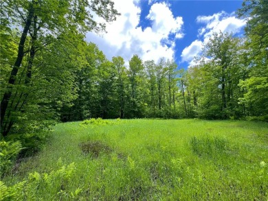 Lake Acreage For Sale in Isle, Minnesota