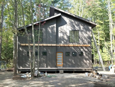 Lake Home ActiveUnderContr in Harbert, Michigan